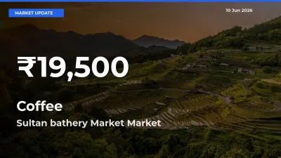 Farmers Concerned as Coffee Hits 30-Day Low in Sultan bathery Market