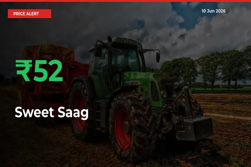 Sharp Jump! Sweet Saag Prices Climb 51.84% in 24 Hours at Key Mandis