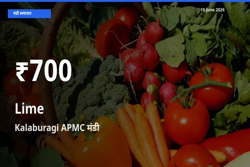 बाज़ार संकेत: नींबू के भाव Kalaburagi APMC में 30 दिन के निचले स्तर पर