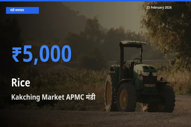 टॉप मंडी बना Kakching Market APMC! Rice के सबसे ऊँचे दाम यहीं दर्ज