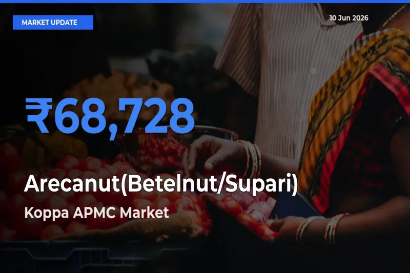 Farmers Prefer Koppa APMC as Arecanut(Betelnut/Supari) Hits Highest Rate