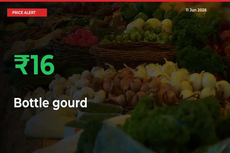 Bottle gourd Prices Rise 16.48% in a Day at Major Mandis