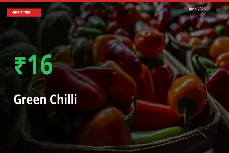 हरी मिर्च 16.35% उछला, मंडी