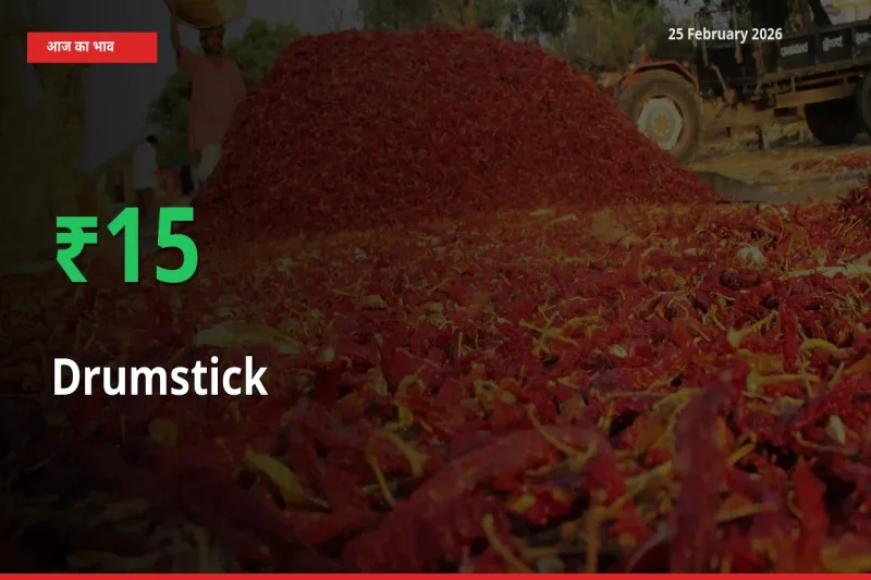 Drumstick 15.09% उछला, मंडी