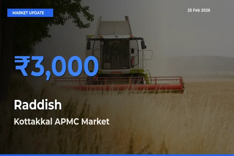 Kottakkal APMC Records Highest ₹3,000 Rate for Raddish