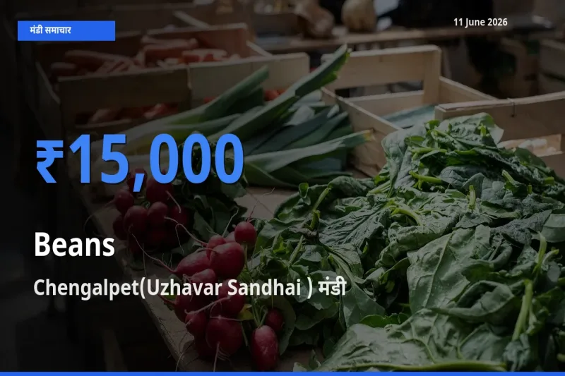 Chengalpet(Uzhavar Sandhai ) मंडी में फलियाँ (सेम) ₹15,000 पर पहुँचा – आज का सर्वोच्च भाव