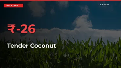 26.38% Drop in Tender Coconut Prices – Mandi Sees Sudden Fall