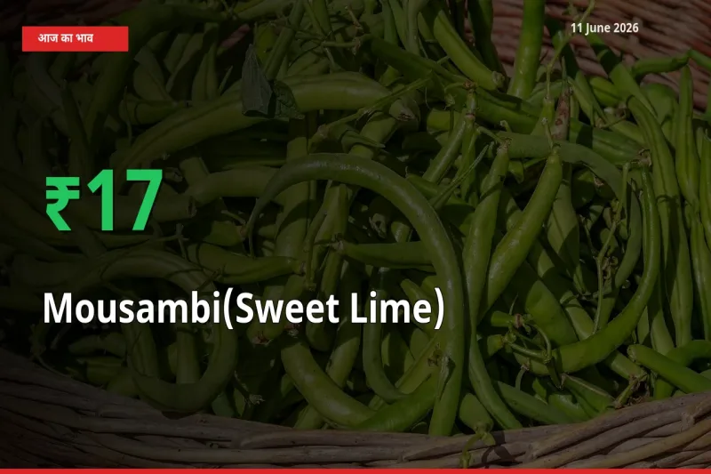मौसंबी के दाम प्रमुख मंडी में 16.78% बढ़े, 24 घंटे में बड़ा बदलाव