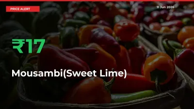 Mousambi(Sweet Lime) Mandi Rate Today: Prices Jump 16.78% at Market