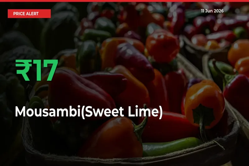 Mousambi(Sweet Lime) Mandi Rate Today: Prices Jump 16.78% at Market