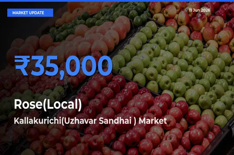 Kallakurichi(Uzhavar Sandhai ) Records Highest ₹35,000 Rate for Rose(Local)