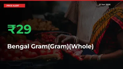 This Mandi Records 28.52% Jump in Bengal Gram(Gram)(Whole) Prices