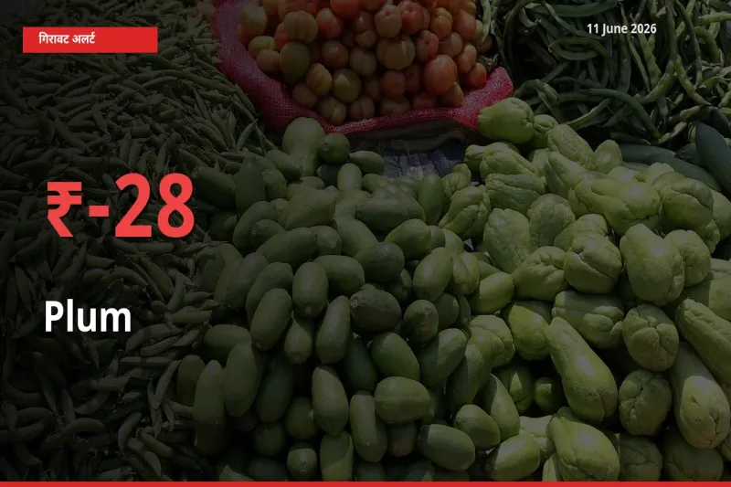 आज का मंडी भाव: आलूबुखारा के दाम मंडी में 27.75% नीचे