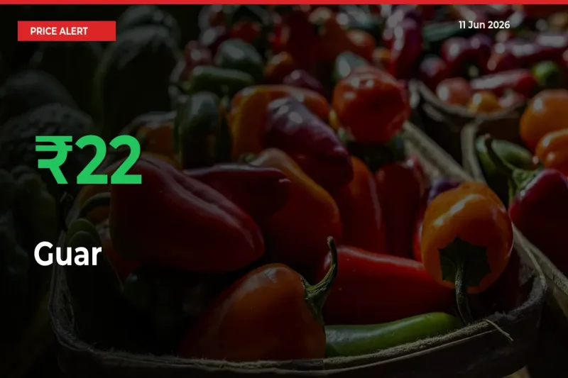 Guar Mandi Rate Today: Prices Jump 22.39% at Market