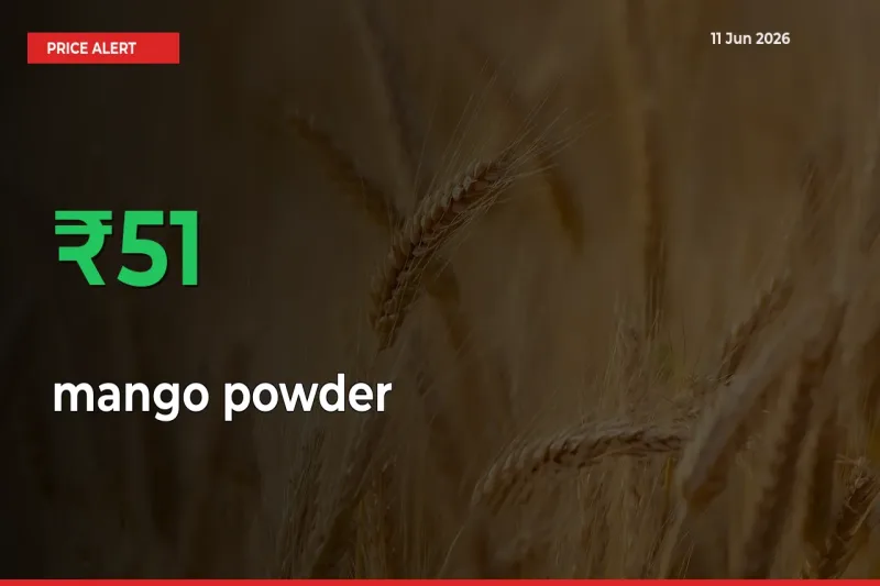 This Mandi Records 51.25% Jump in mango powder Prices