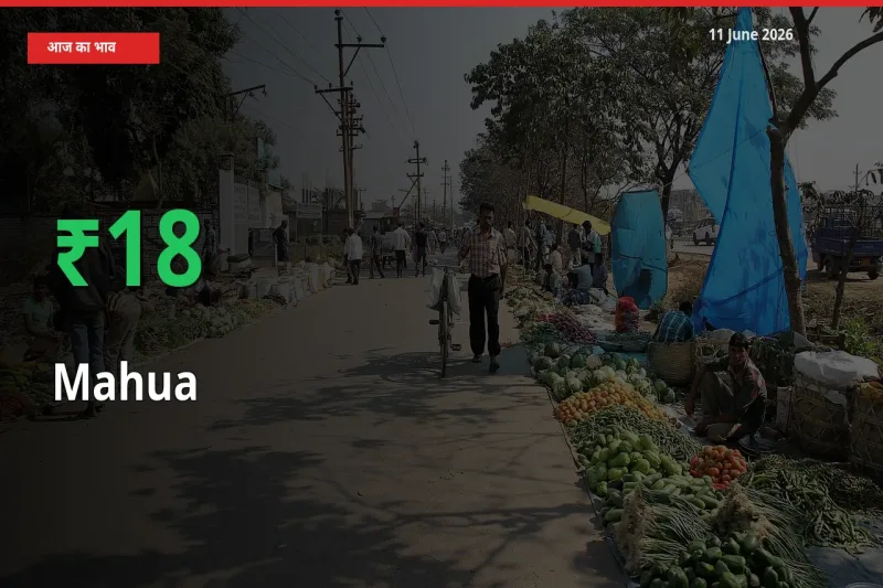 तेज़ तेजी! मंडी में महुआ के दाम 17.62% चढ़े
