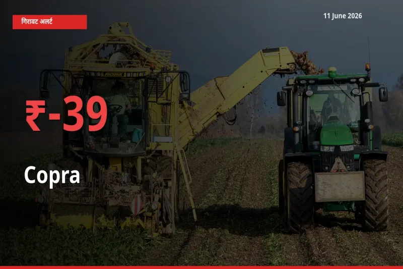 11 June अपडेट: सूखा नारियल के दाम मंडी में 39.13% गिरे