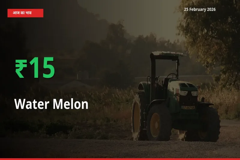 Water Melon 15.49% उछला, मंडी