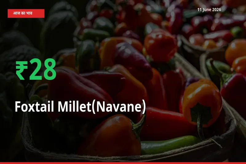 कांगनी (काकुन) 28.28% उछला, मंडी