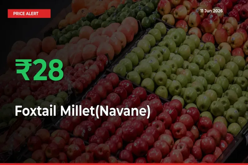 Foxtail Millet(Navane) Rises 28.28% at Mandis