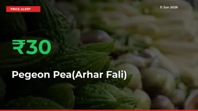 Farmers Cheer as Pegeon Pea(Arhar Fali) Prices Surge 30.39% in Local Mandis