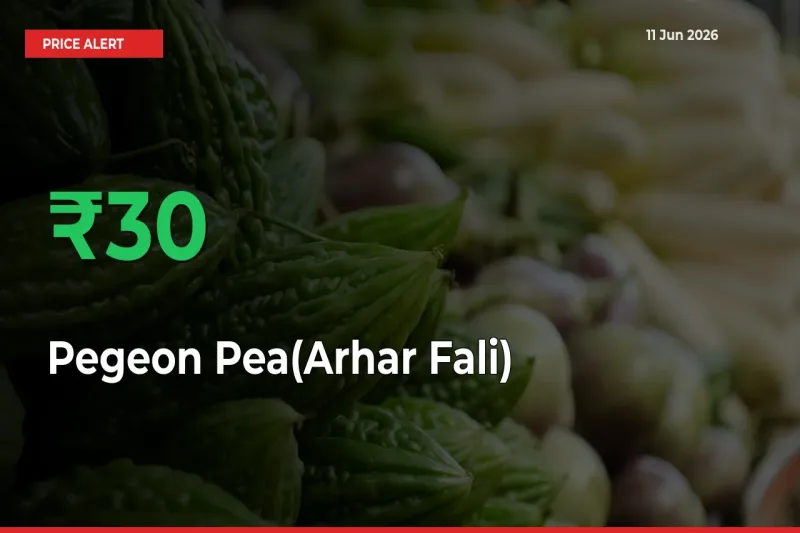 Farmers Cheer as Pegeon Pea(Arhar Fali) Prices Surge 30.39% in Local Mandis
