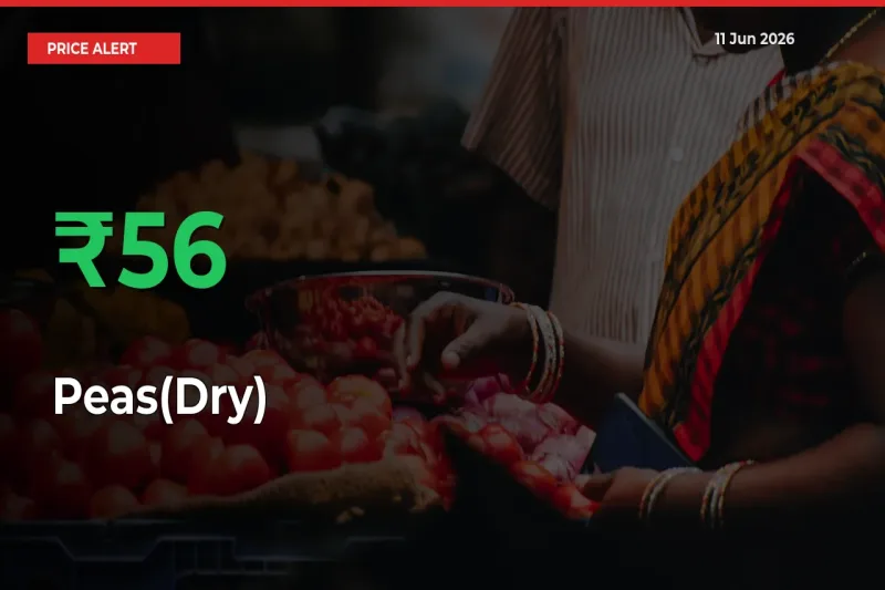 Big Rally! Peas(Dry) Climbs 55.63% in 24 Hours at Top Mandis