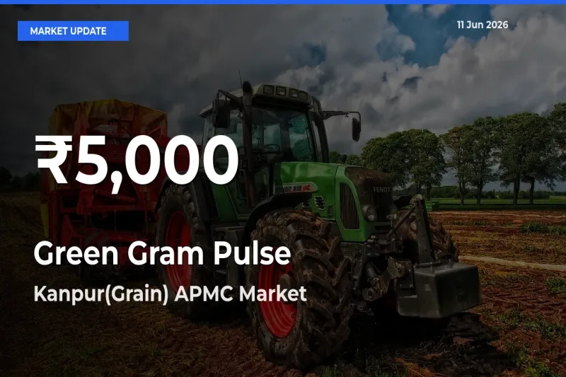Big Drop! Green Gram Pulse Slides to 30-Day Low at Kanpur(Grain) APMC