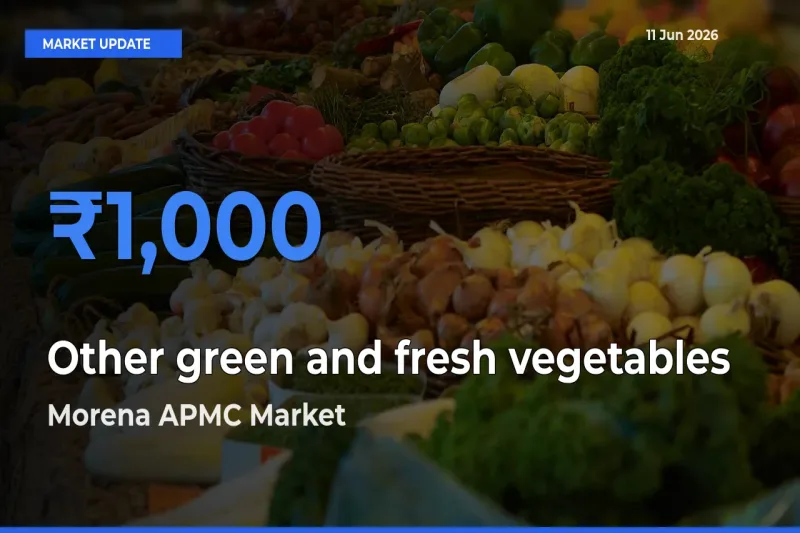 Morena APMC Tops Other green and fresh vegetables Mandi Rates Today