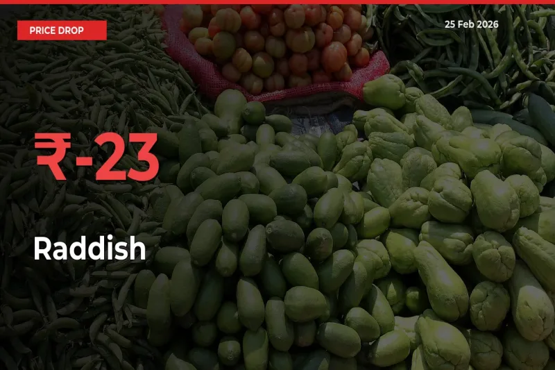 Why Raddish Prices Fell 23.33% in a Day at Mandis