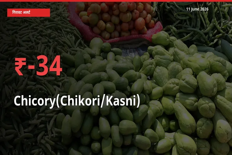 कासनी 34.21% गिरा, मंडी
