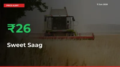 Sweet Saag Prices Rise 25.76% in a Day at Major Mandis