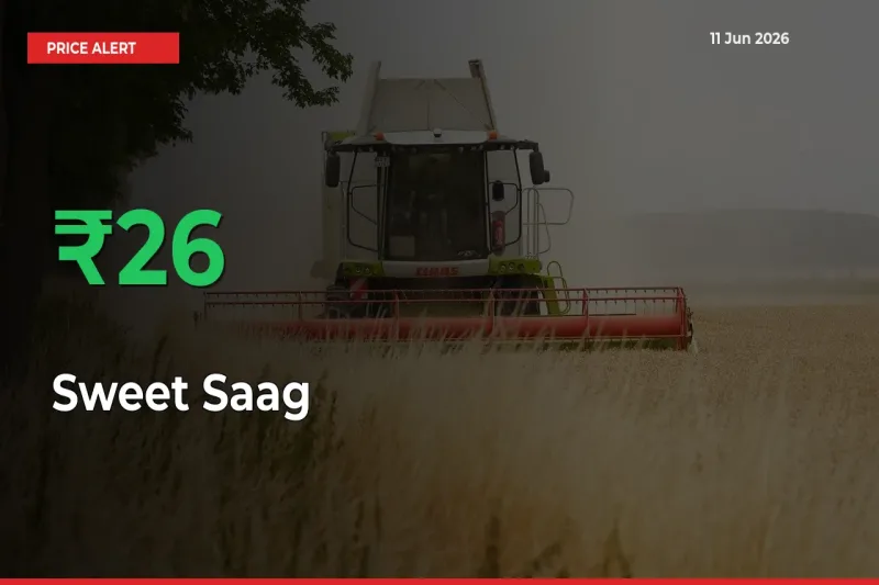 Sweet Saag Prices Rise 25.76% in a Day at Major Mandis