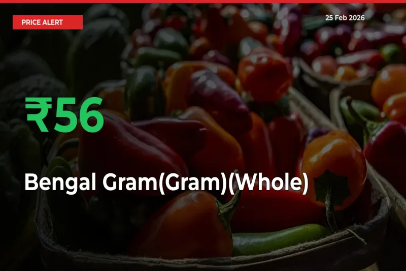Sharp Jump! Bengal Gram(Gram)(Whole) Prices Climb 55.84% in 24 Hours at Key Mandis