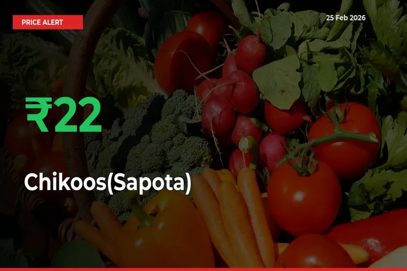 22.25% Spike in Chikoos(Sapota) Prices – Mandi Sees Sudden Rally