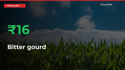 15.74% Spike in Bitter gourd Prices – Mandi Sees Sudden Rally