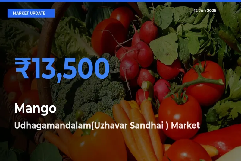 Market Watch: Udhagamandalam(Uzhavar Sandhai ) Becomes Top Mandi for Mango