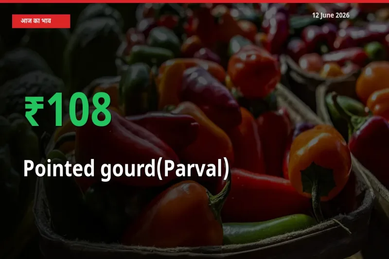 अचानक तेजी! मंडी में परवल के दाम 108.42% चढ़े