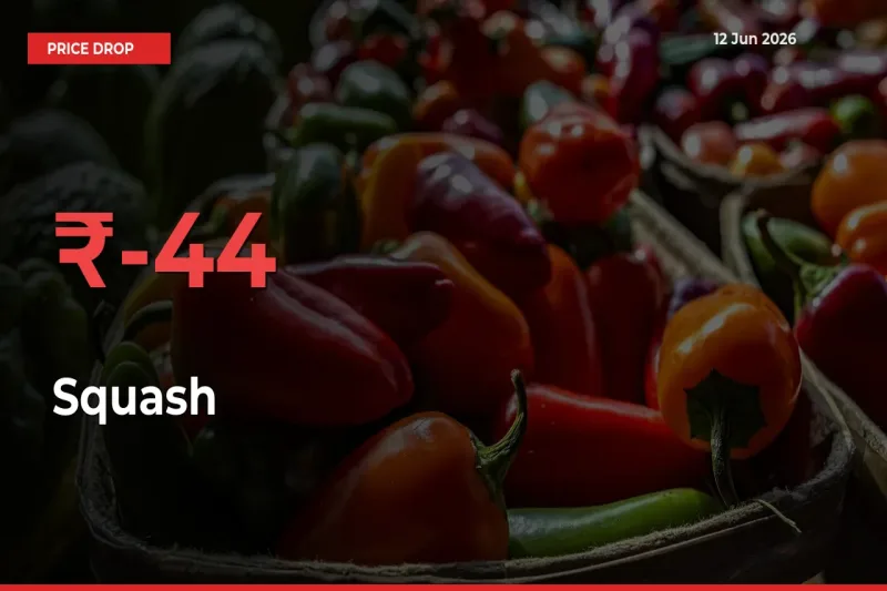 Squash Mandi Rate Today: Prices Fall 43.98% at Market