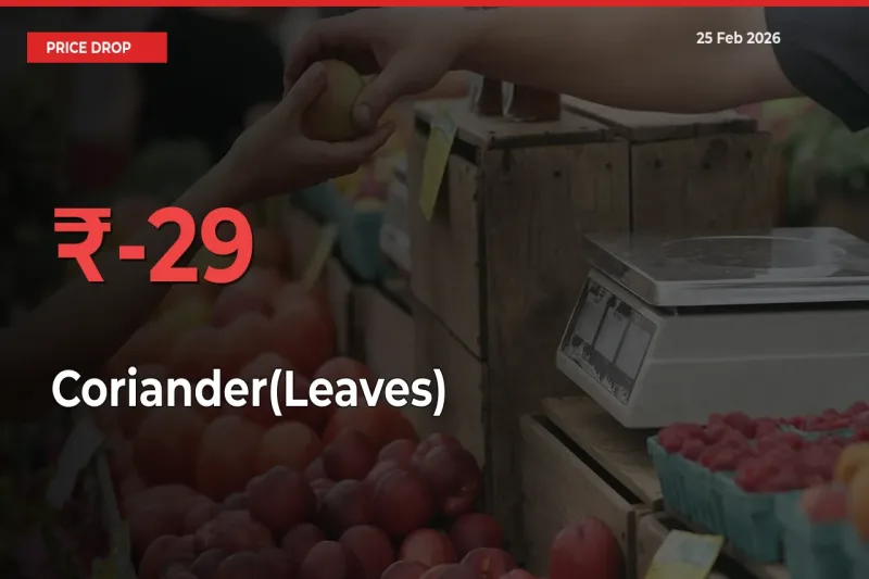 Coriander(Leaves) Falls 29.35% at Mandis