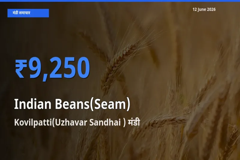 Kovilpatti(Uzhavar Sandhai ) मंडी में आज सेम (देशी) के सबसे ऊँचे दाम दर्ज