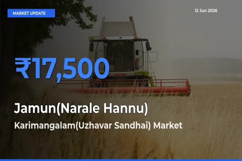 Karimangalam(Uzhavar Sandhai) Tops Jamun(Narale Hannu) Rates – June 12 Market Update