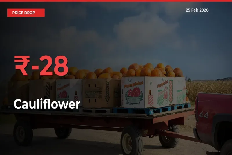 27.68% Drop in Cauliflower Prices – Mandi Sees Sudden Fall
