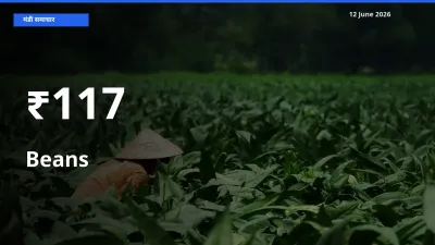 फलियाँ (सेम) के दाम 117+ मंडियों में बदले, बाज़ार का रुझान स्पष्ट