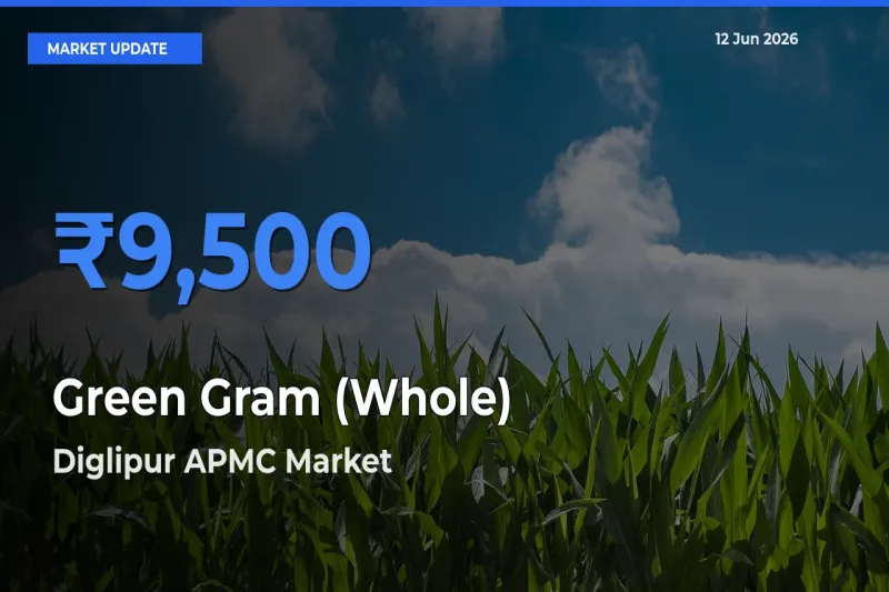 Top Performer! Diglipur APMC Offers Best Green Gram (Whole) Price Today