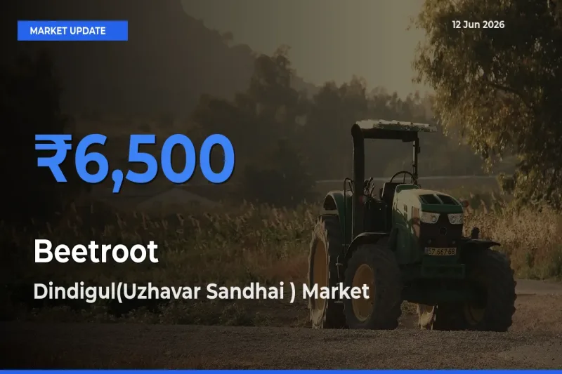 Dindigul(Uzhavar Sandhai ) Records Highest ₹6,500 Rate for Beetroot