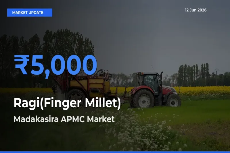 Madakasira APMC Tops Ragi(Finger Millet) Mandi Rates Today