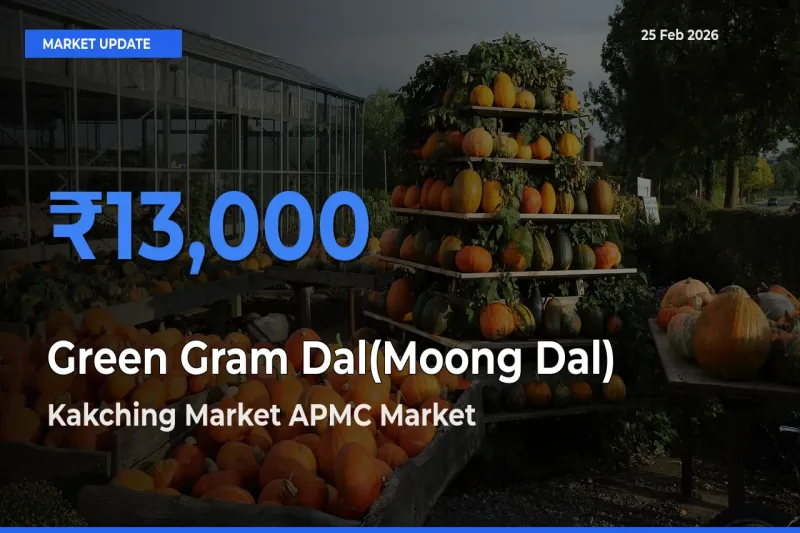 Green Gram Dal(Moong Dal) Mandi Rate Today: Kakching Market APMC Tops the List