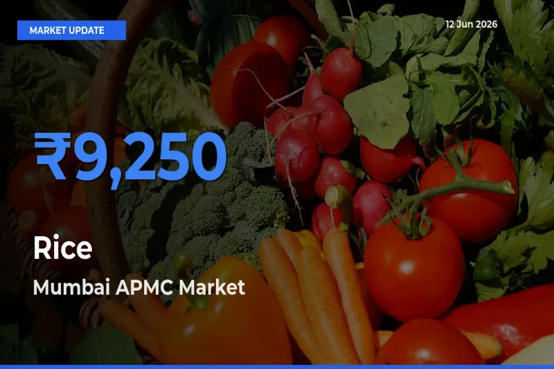 Farmers Prefer Mumbai APMC as Rice Hits Highest Rate