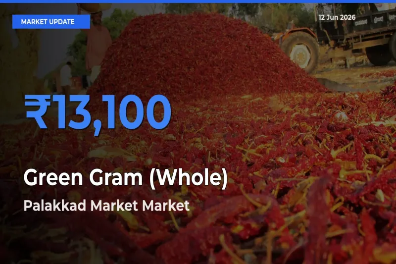 Palakkad Market Tops Green Gram (Whole) Rates – June 12 Market Update